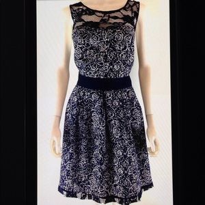 💋BB Dakota Floral Lace Trim Fit & Flare Dress